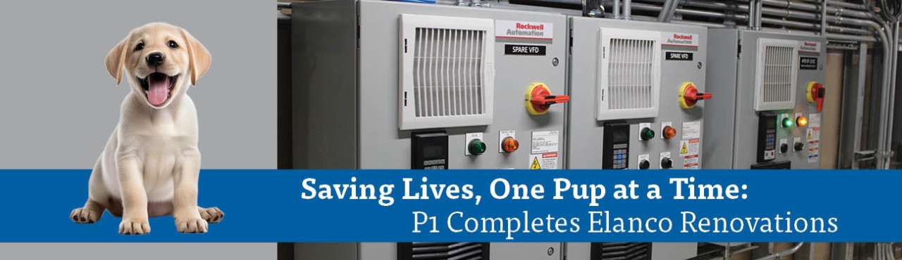 Elanco-Her_20260311-191726_1