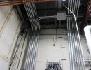 p1 elanco electrical
