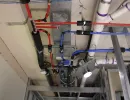 p1 pex rough in