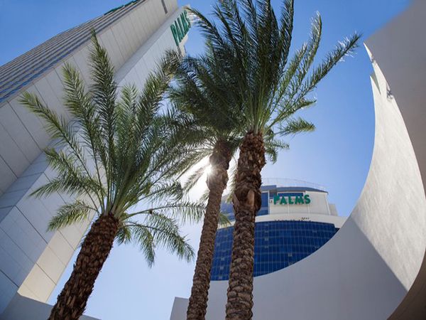 Commercial: Palms Fantasy Tower Remodel